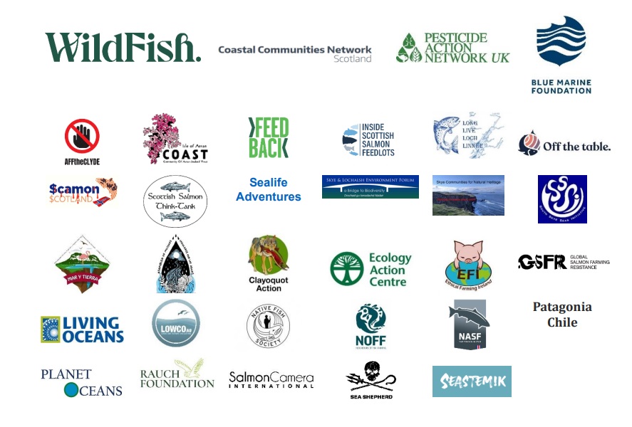 logo associazioni contro greenwashing salmone allevamento scozzese