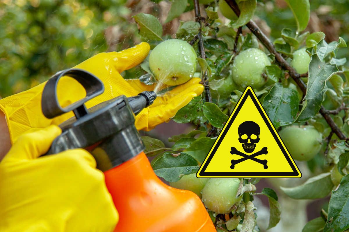 pesticidi mele alto adige