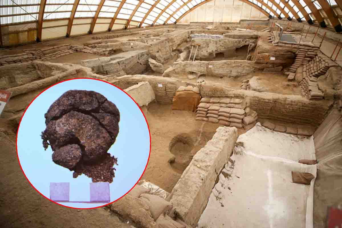 Pagnotta di pane di 8600 anni