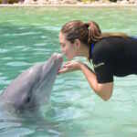 delfini parco Florida