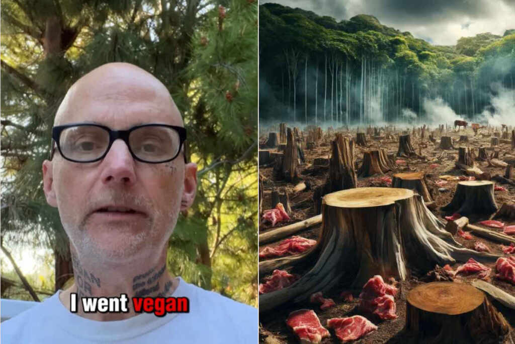 Diventare vegani