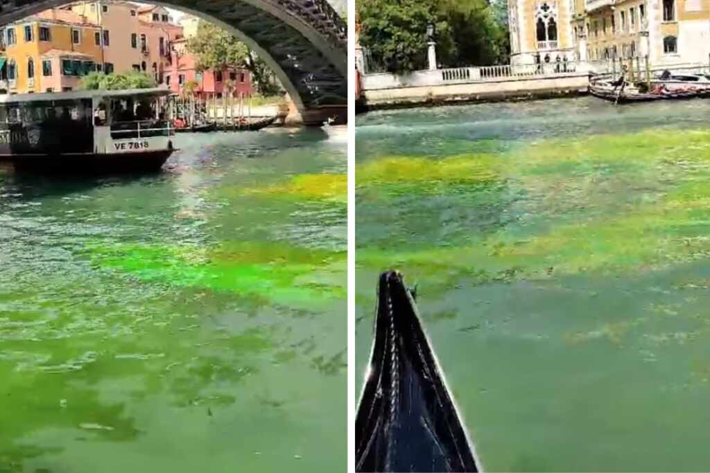 canal grande venezia colorato