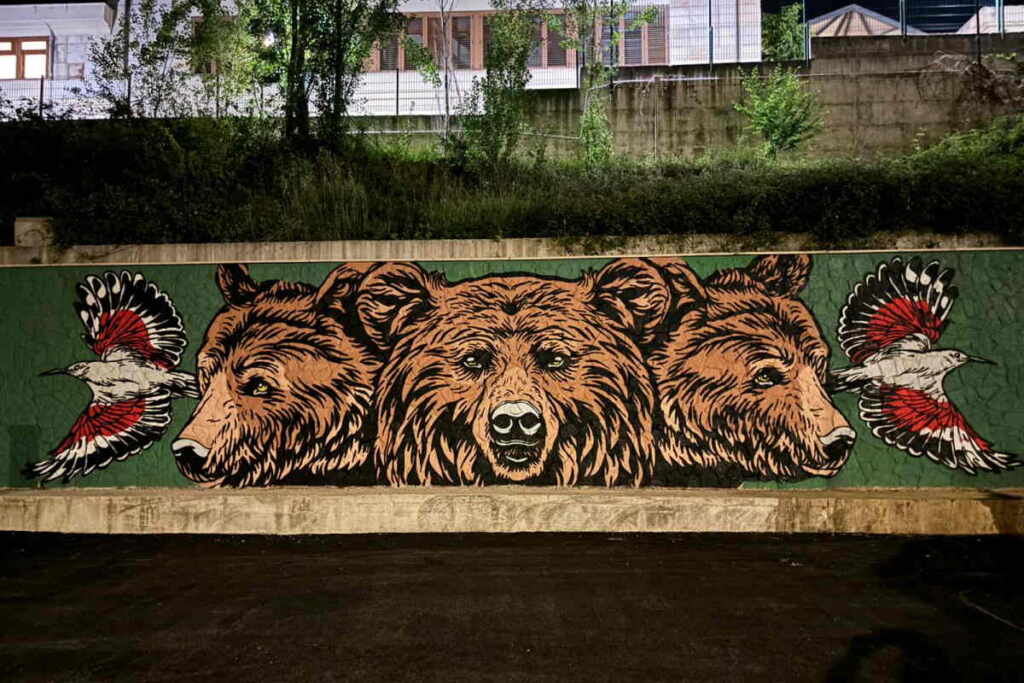 murale orso marsicano